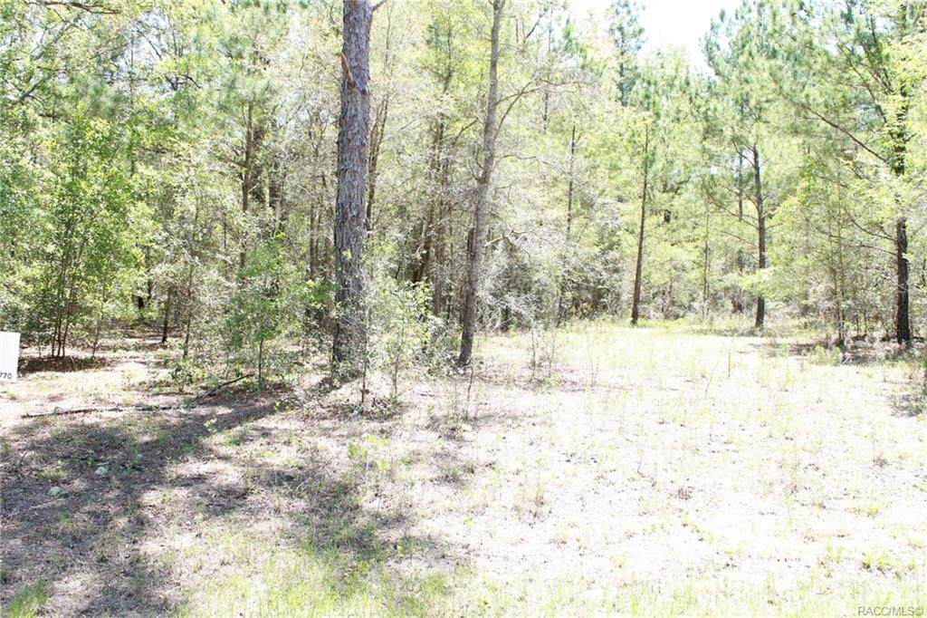 1524 Carson Road - Photo 1