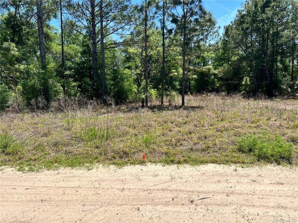 11997 Condor Drive - Photo 1