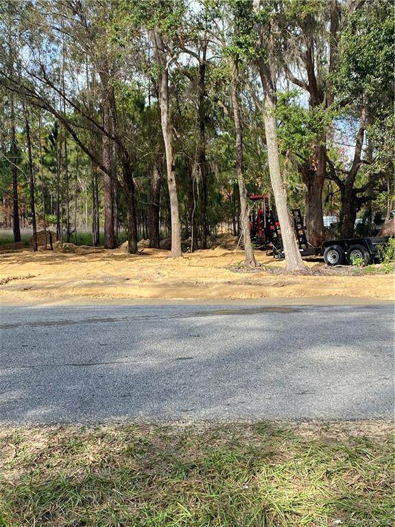 10769 Dublin Street - Photo 1