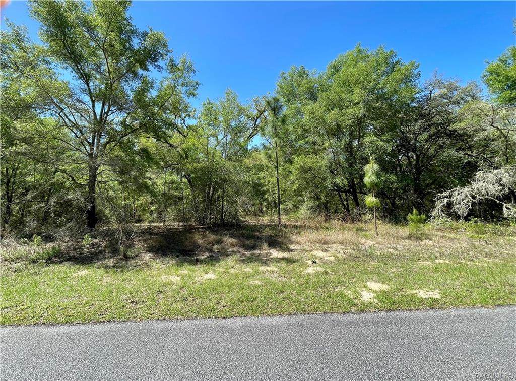 2114 Charlene Place - Photo 1
