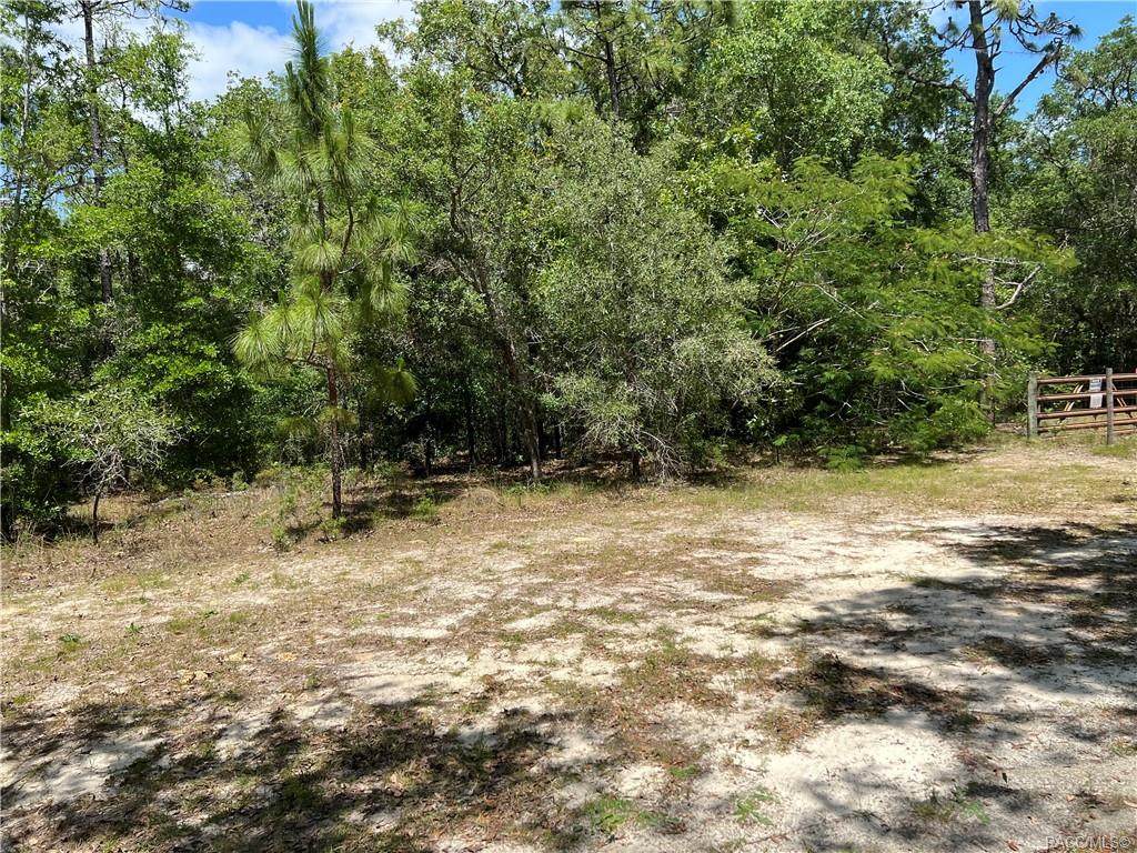 1385 Milan Lane - Photo 1