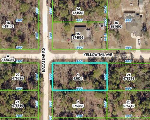 0 Yellow Tail Avenue - Photo 1