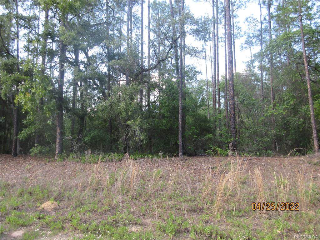 227 Finland Lane - Photo 1