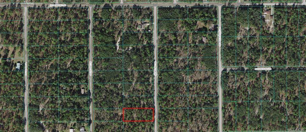 Lot 9 Big Tree Road - Photo 1