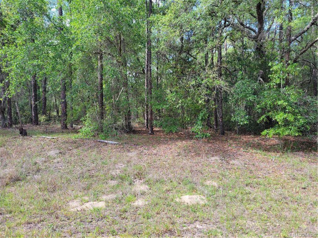 609 Canterbury Lane - Photo 1