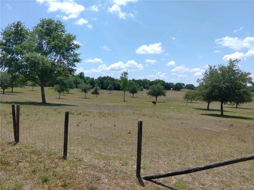 1290 Mansfield Street - Photo 1