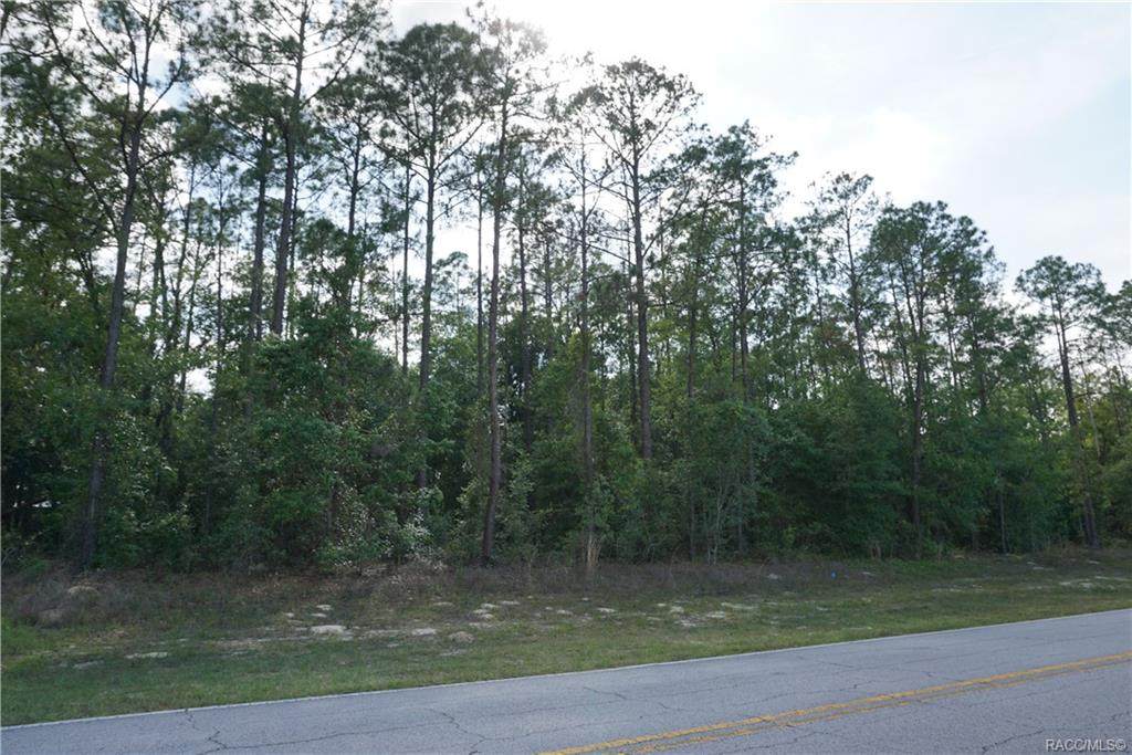 10037 Deltona Boulevard - Photo 1