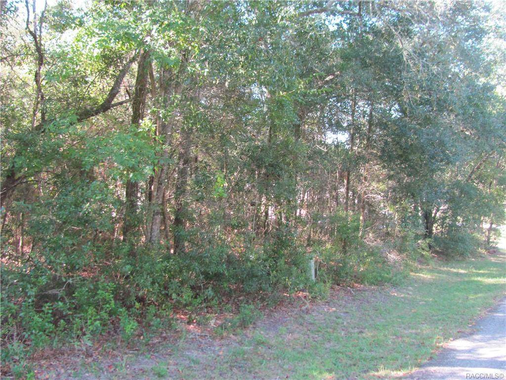1264 Getty Lane - Photo 1