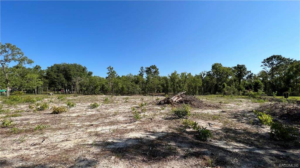 6011 Morrow Point - Photo 1