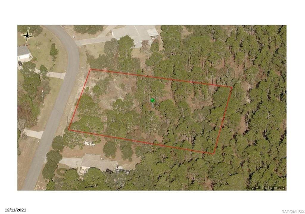 4063 Pinto Loop - Photo 1