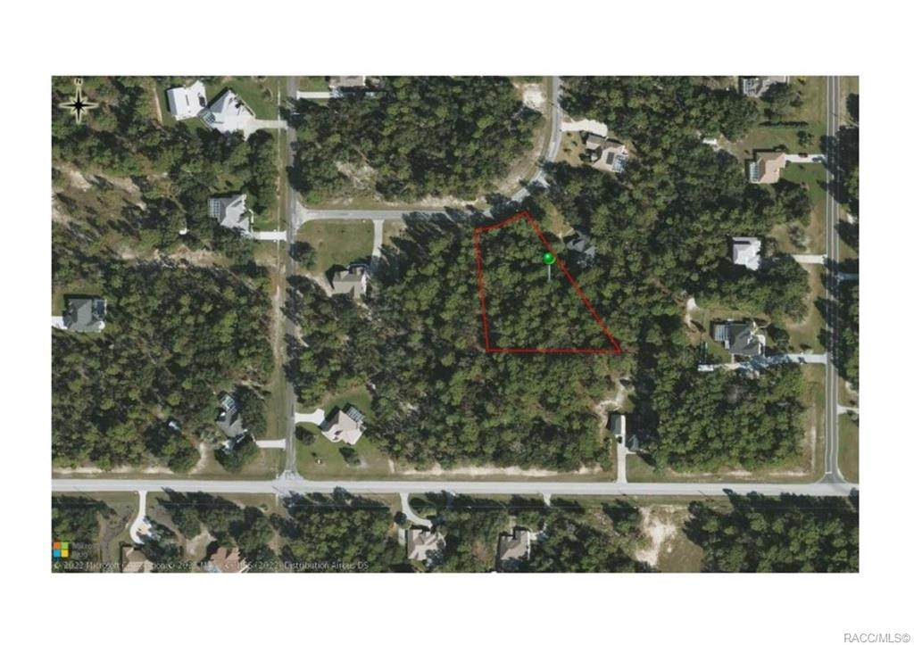 4359 Capistrano Loop - Photo 1