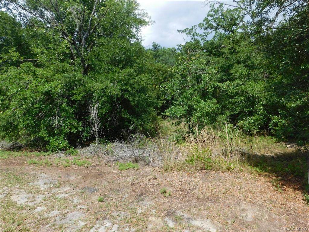4037 Brian Point - Photo 1