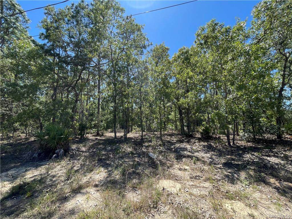6386 Falmouth Terrace - Photo 1