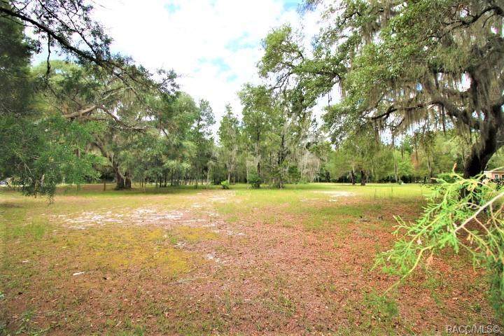 4807 Withlacoochee Trail - Photo 1