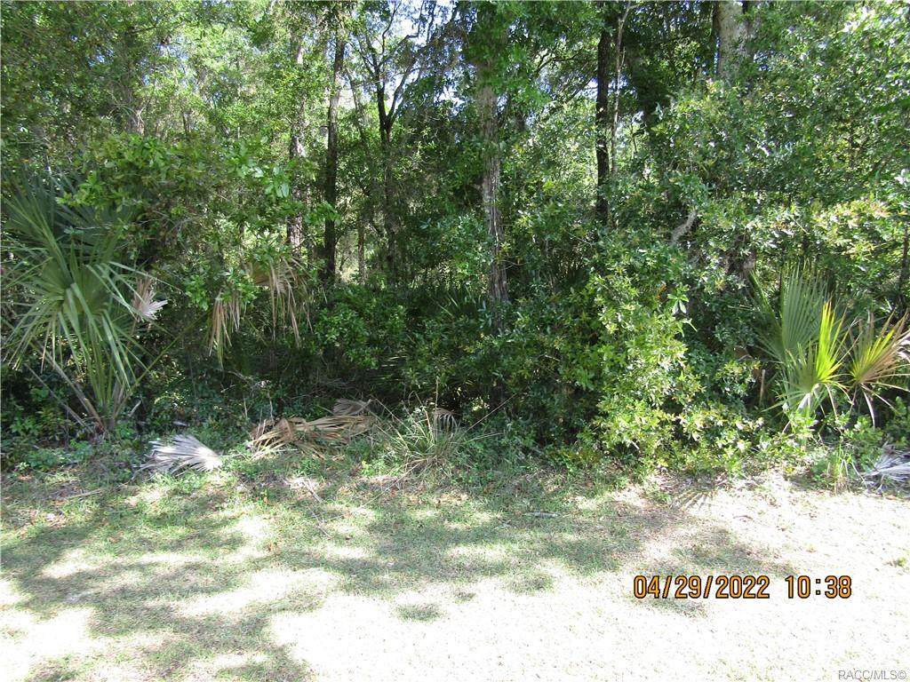 9701 W Cherokee Lane - Photo 1
