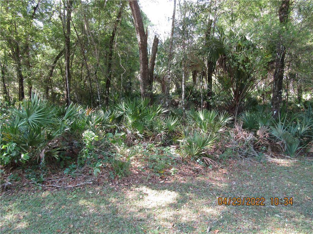 9690 Hayes Lane - Photo 1
