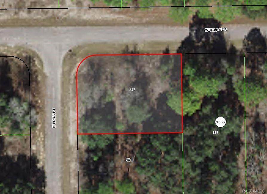 1202 Riley Drive - Photo 1