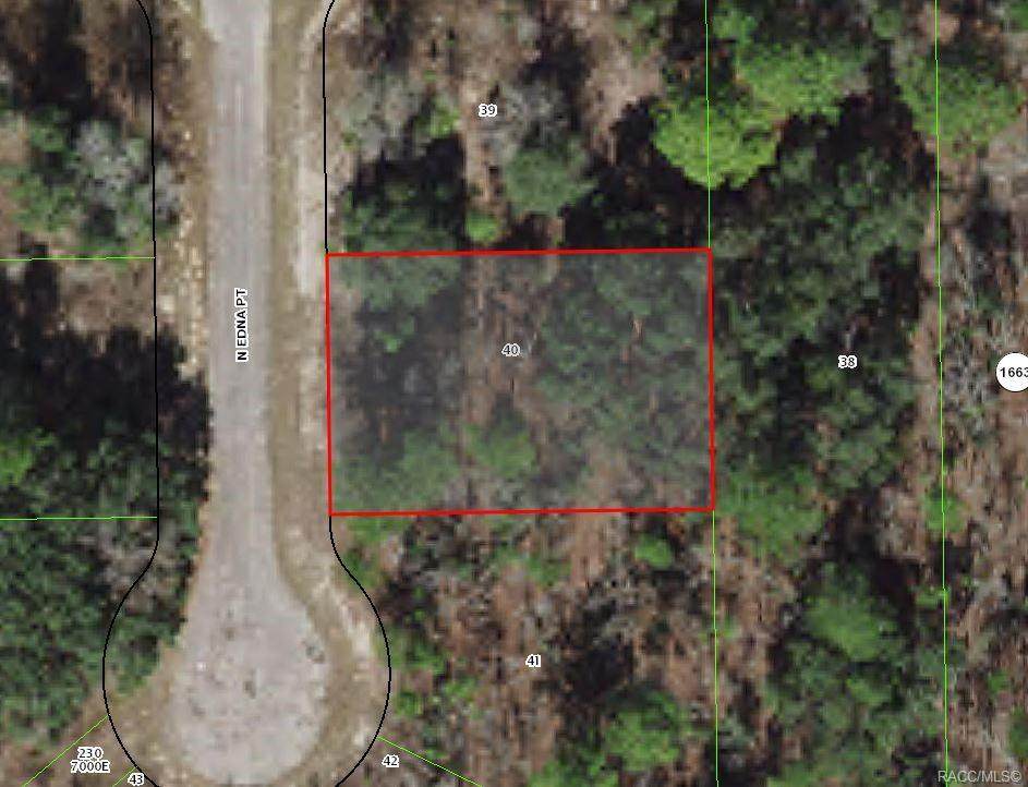 6947 Edna Point - Photo 1