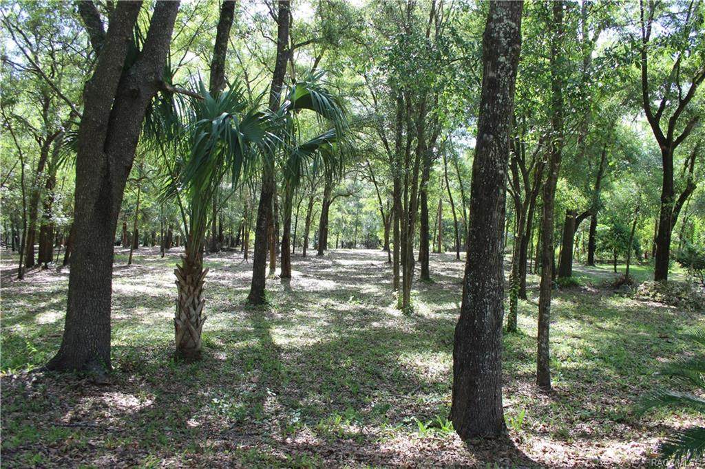 Lot 13 101st Street - Photo 1