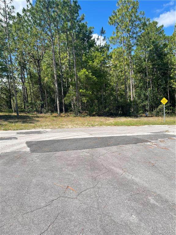 6252 Dunnellon Road - Photo 1