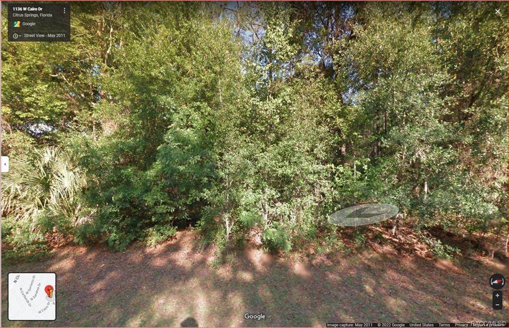 1135 Cairo Drive - Photo 1