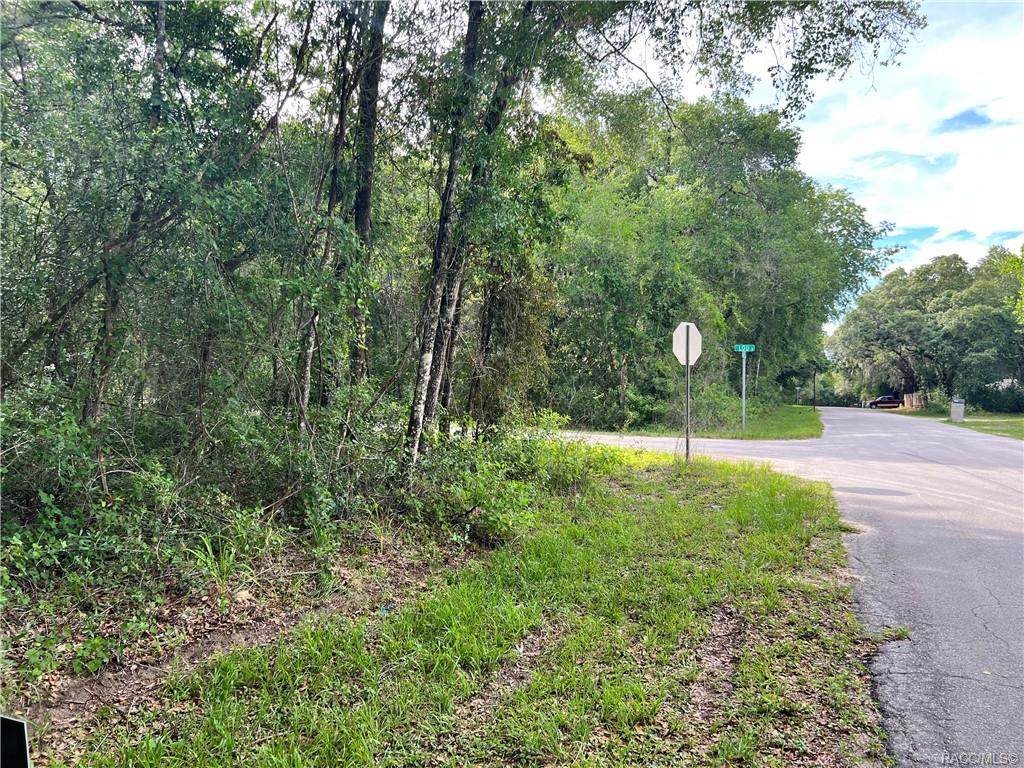 3578 Lou Lane - Photo 1