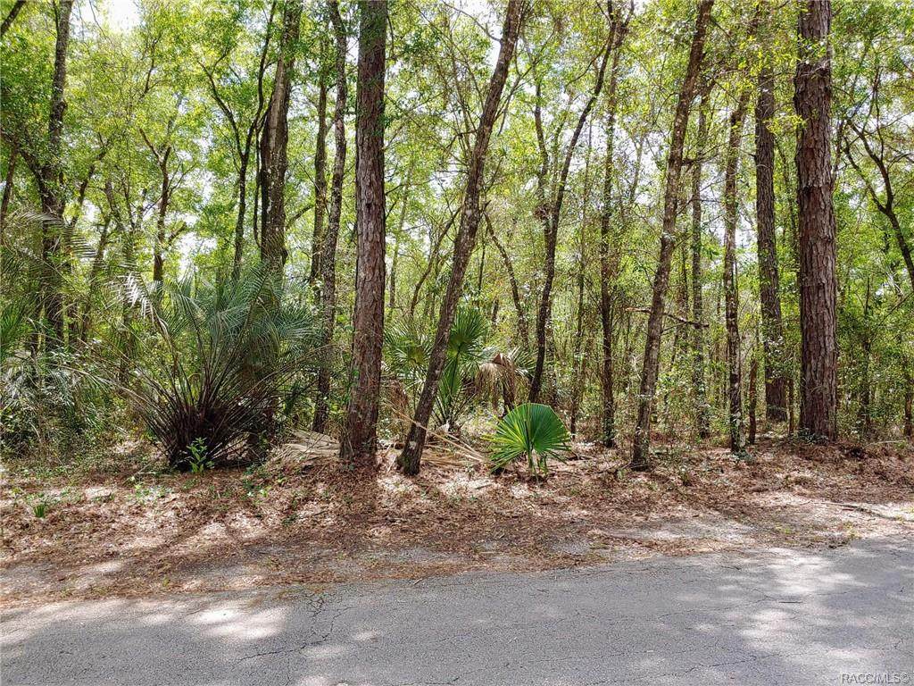 3244 Deal Street - Photo 1