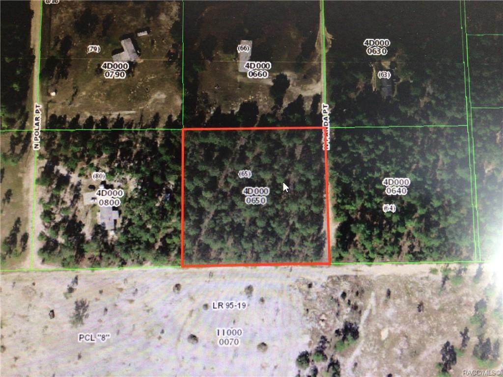 6032 Panda Point - Photo 1