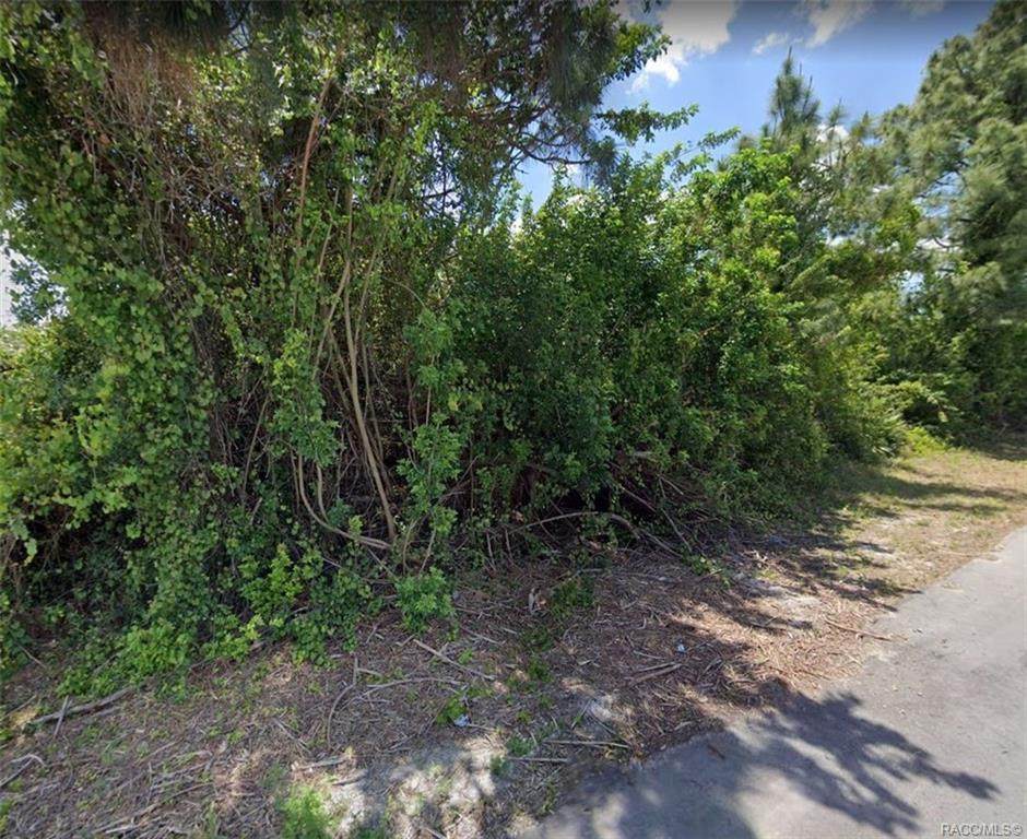 1142 Essex Street - Photo 1