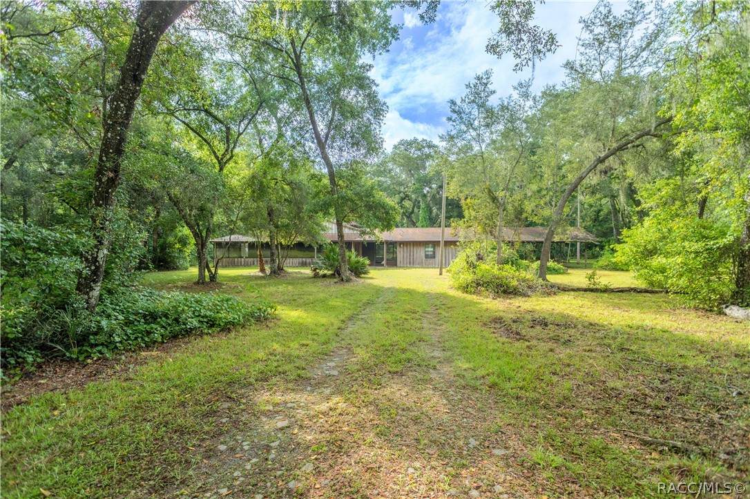 6060 Forest Trail Drive - Photo 1