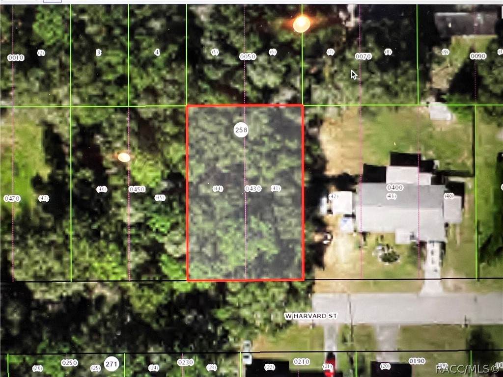 408 Harvard Street - Photo 1