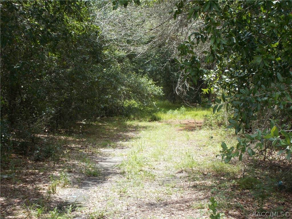 6574 Gulf To Lake Highway - Photo 1