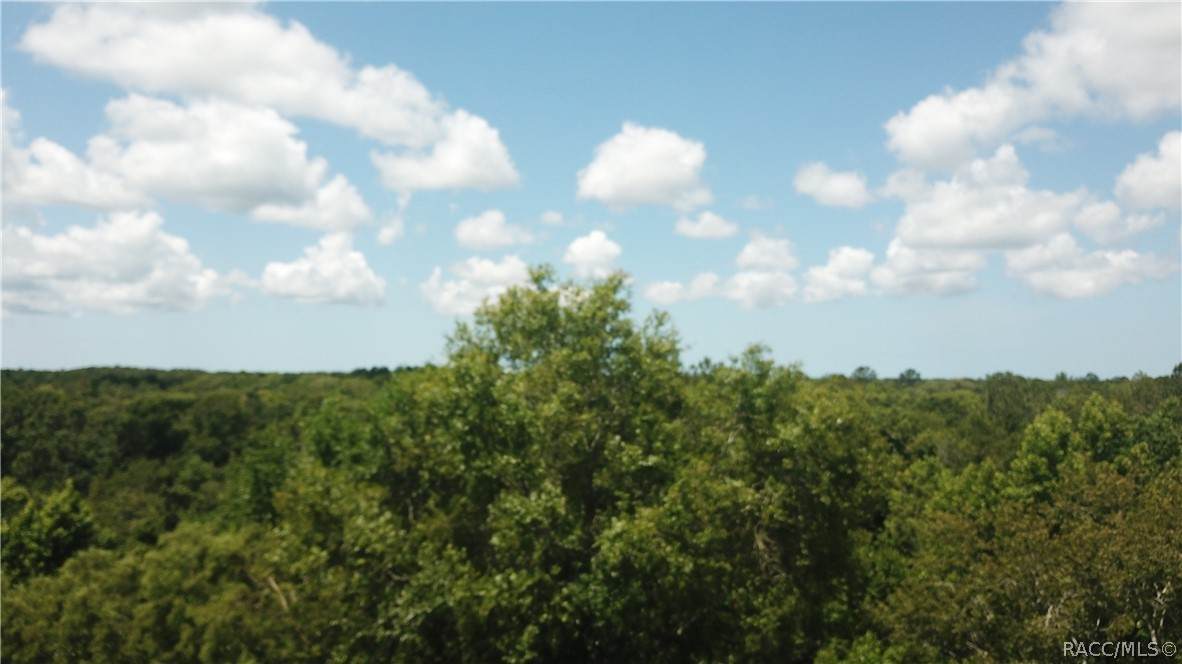 0 Buckhead Road - Photo 1