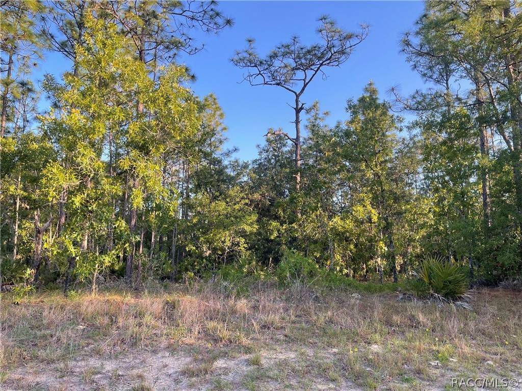 4555 Mustang Boulevard - Photo 1