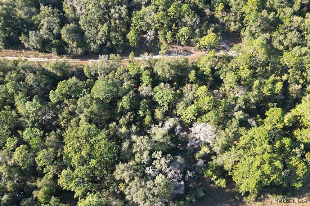 7451 Dunnellon Road - Photo 1