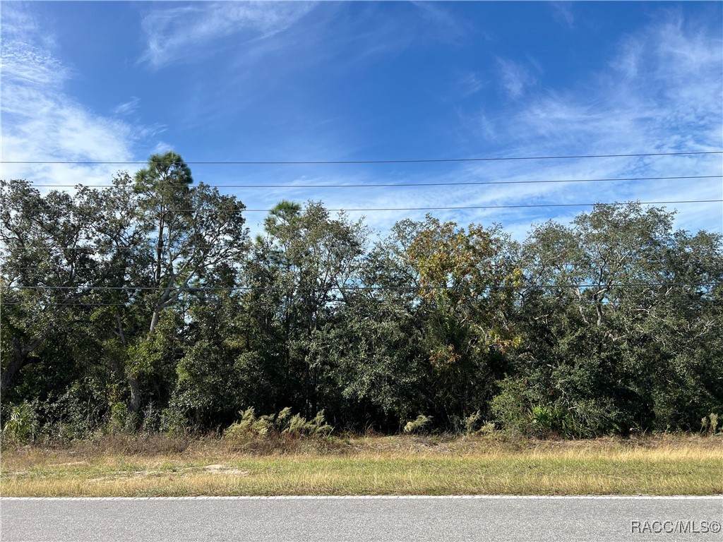 1638 Rock Crusher Road - Photo 1
