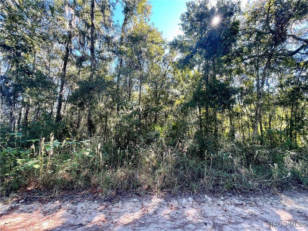 13232 18th Street Road - Photo 1