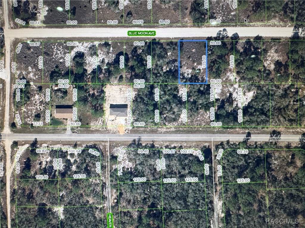 325 Blue Moon Avenue - Photo 1