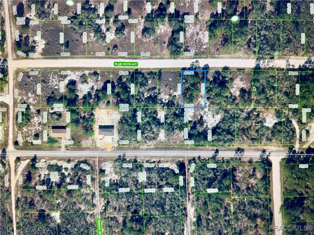 329 Blue Moon Avenue - Photo 1