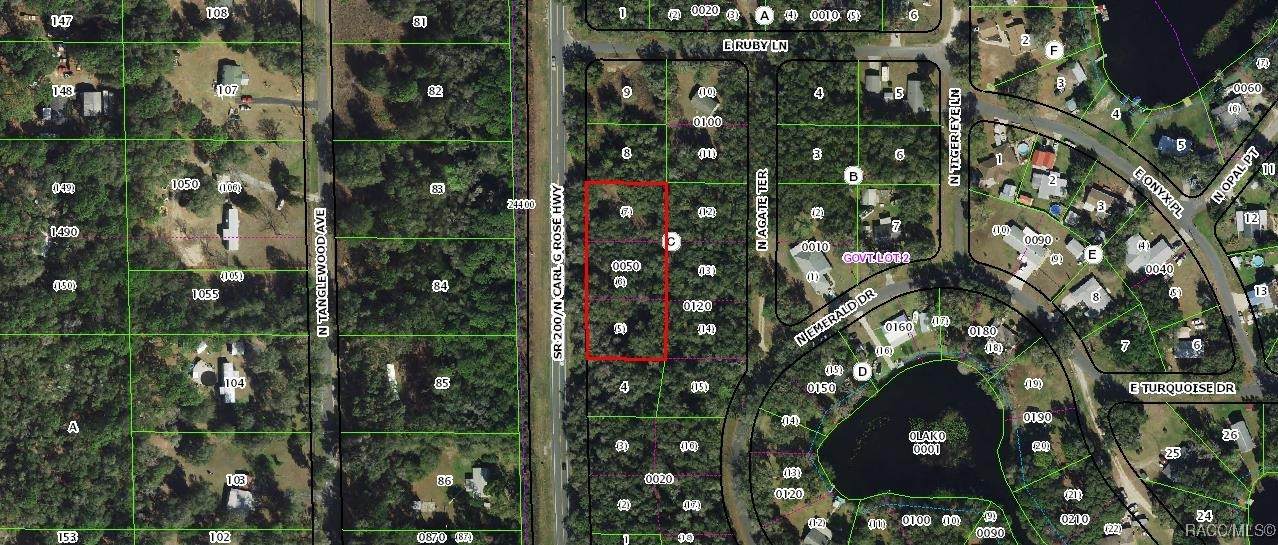 5075 Carl G Rose Highway - Photo 1