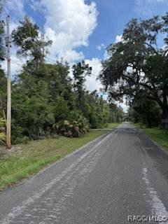 https://bt-photos.global.ssl.fastly.net/citrus/orig_boomver_1_846904-2.jpg