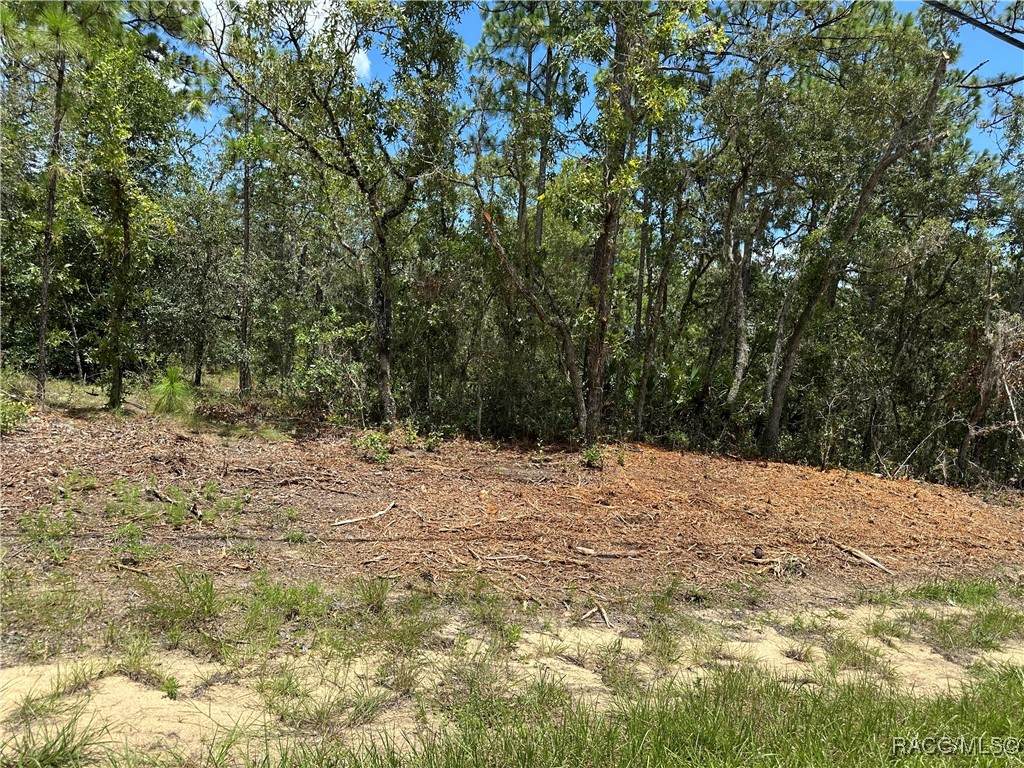 955 Hampshire Boulevard - Photo 1