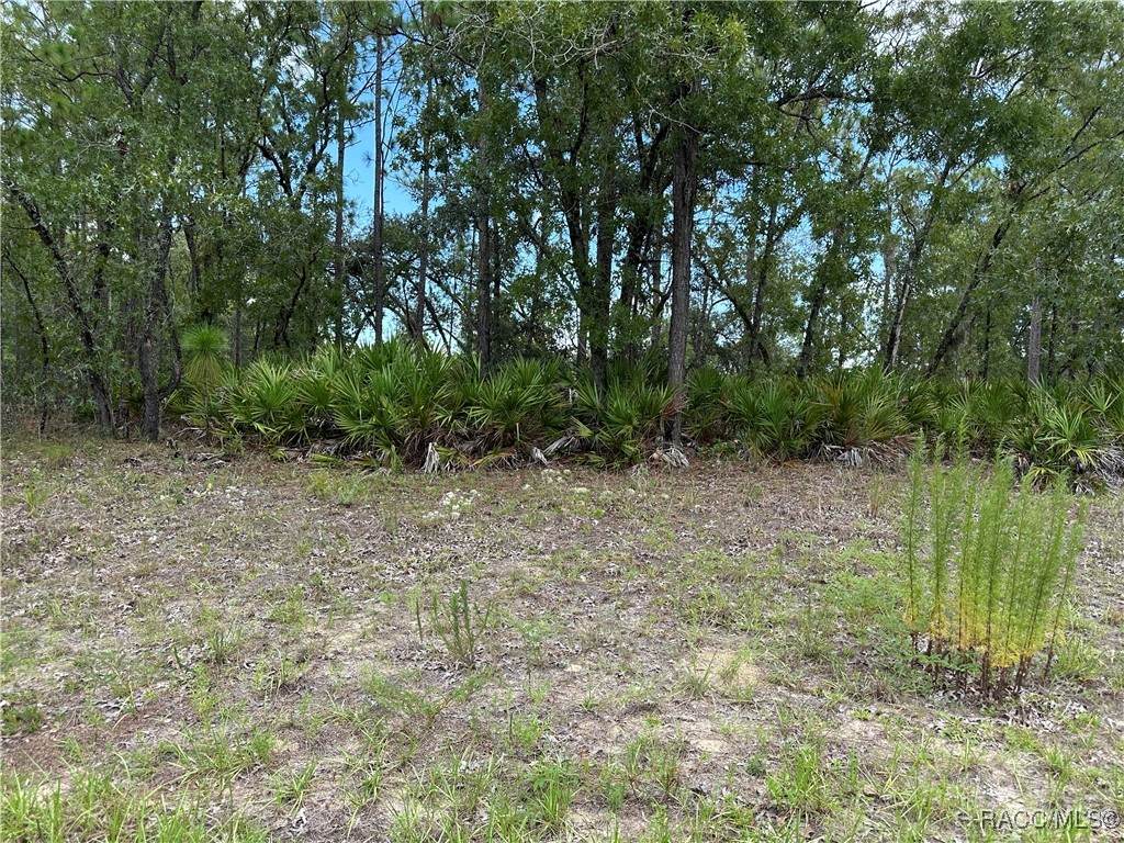 1195 Hampshire Boulevard - Photo 1