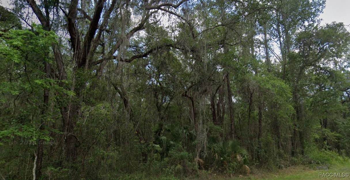 893 Byrd Loop - Photo 1
