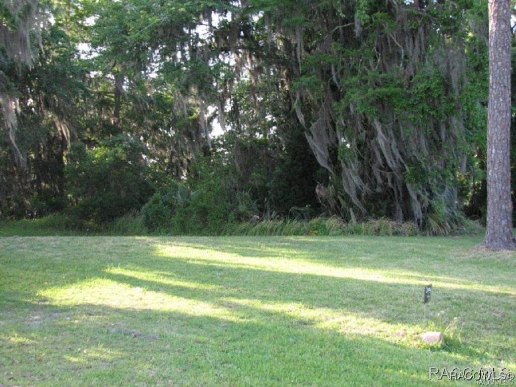 https://bt-photos.global.ssl.fastly.net/citrus/orig_boomver_1_847003-2.jpg