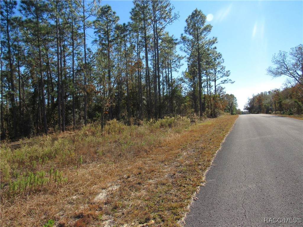 0000 Sands Pt Avenue - Photo 1