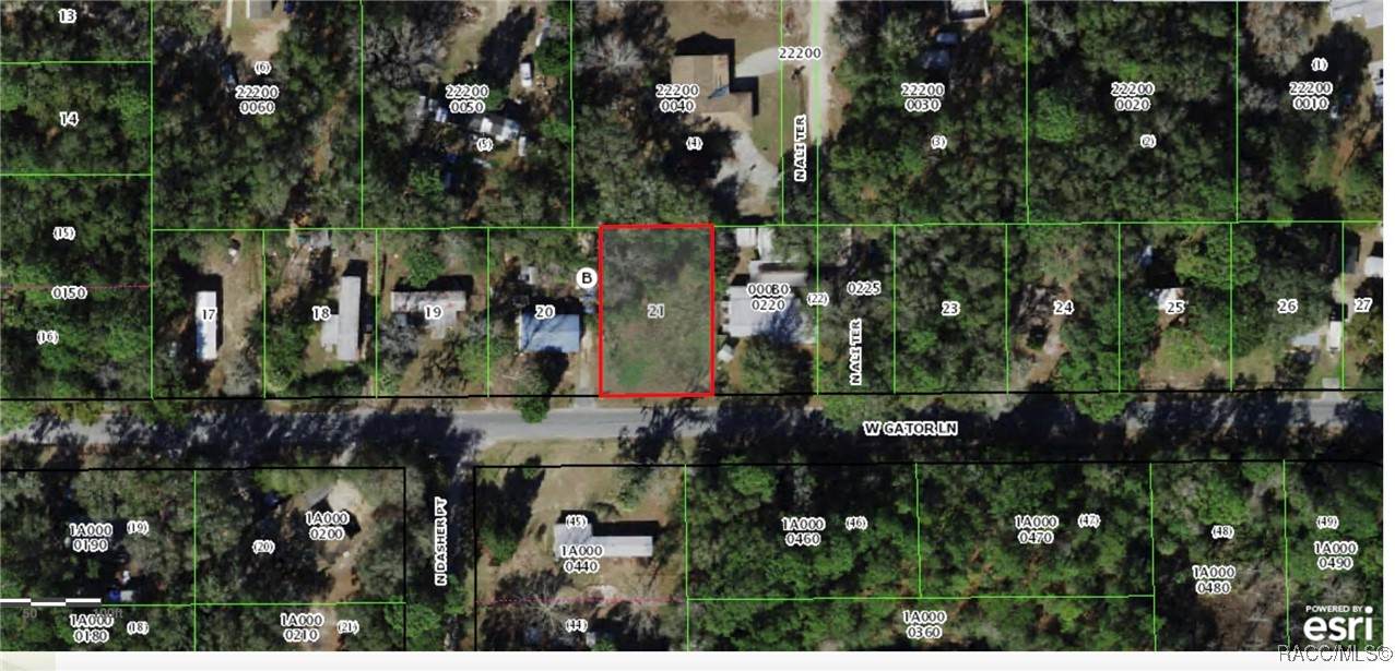 7111 Gator Lane - Photo 1