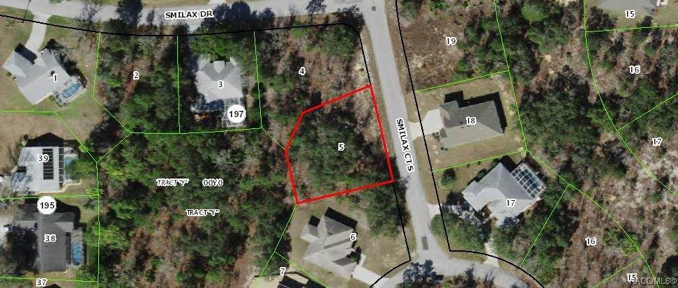 3 Smilax Court - Photo 1