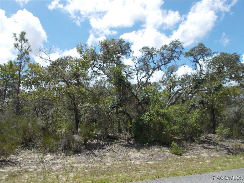2792 Gaucho Drive - Photo 1