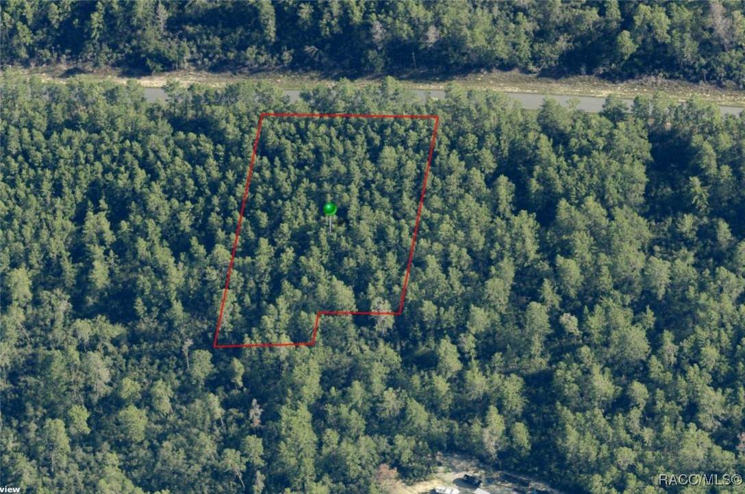 4502 Abeline Drive - Photo 1